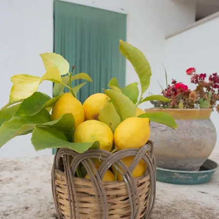 Holiday home I Trulli Di Mina - Trullo Girasole Locorotondo